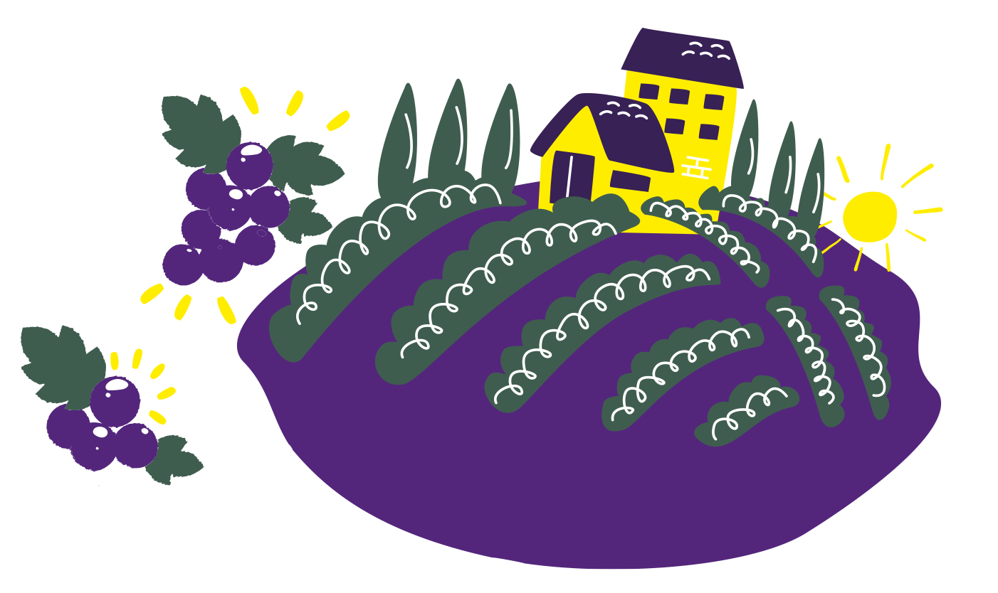 Paisaje italiano: viñedos, casa amarilla y sol